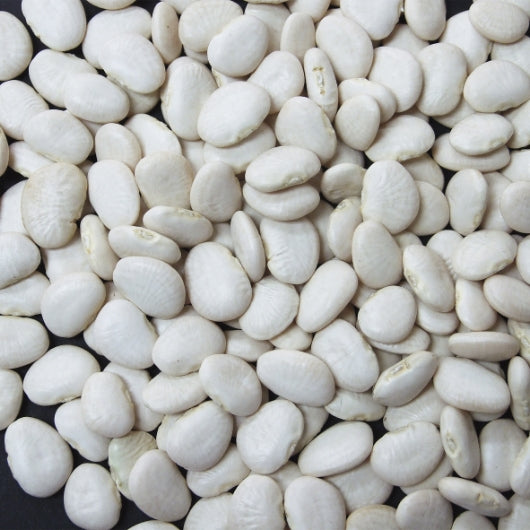 Jack Rabbit Baby Lima Beans, 1 x 20 lb Case - GS1 raw or uncooked product image