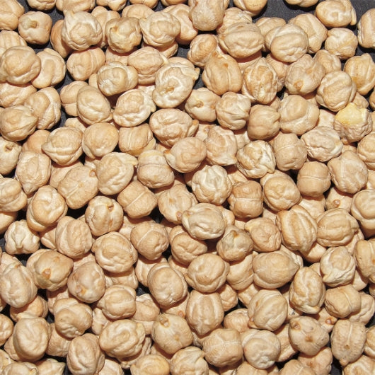 Jack Rabbit Garbanzo Beans, 1 x 20 lb Case - Beans & Legumes