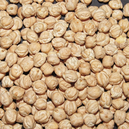 Jack Rabbit Garbanzo Beans, 1 x 20 lb Case - Beans & Legumes
