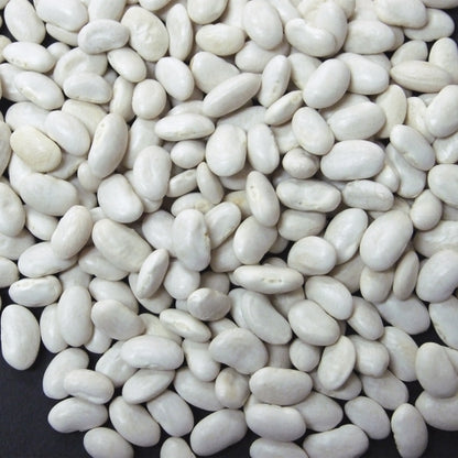 Jack Rabbit Great Northern Bean, 1 x 25 lb Case - Beans & Legumes