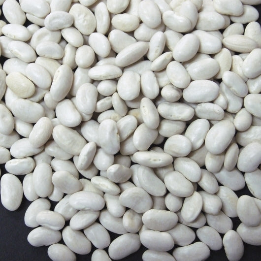 Jack Rabbit Great Northern Bean, 1 x 25 lb Case - Beans & Legumes