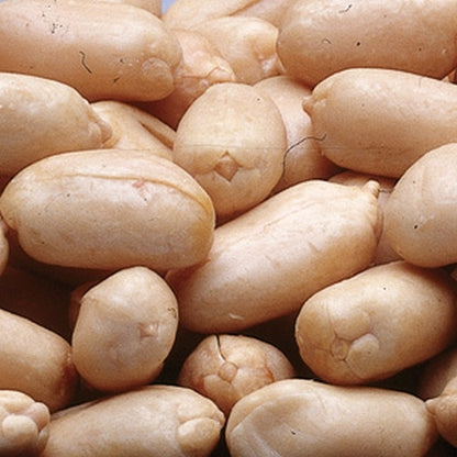 Azar Blanched Raw Peanut, 2 x 12.5 lb Case - Nuts & Seeds