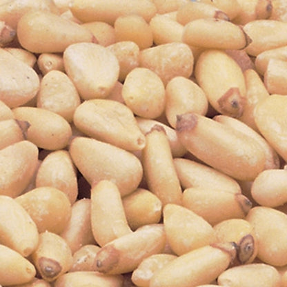 Azar Pine Nuts Pignolias Shelled, 1 x 5 lb Case - Nuts & Seeds