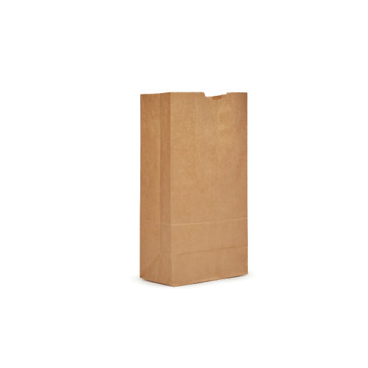 AJM 20# Kraft Squat Bag, 1 x 500 ct Case - DOT product image 2
