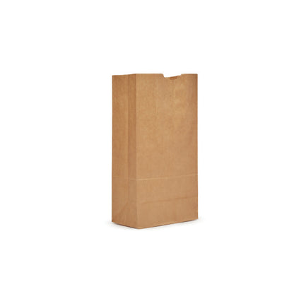 AJM 20# Kraft Squat Bag, 1 x 500 ct Case - DOT product image 2