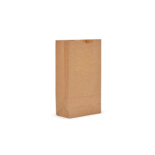 AJM 10# Natural Kraft Bag, 1 x 500 ct Case - Disposables