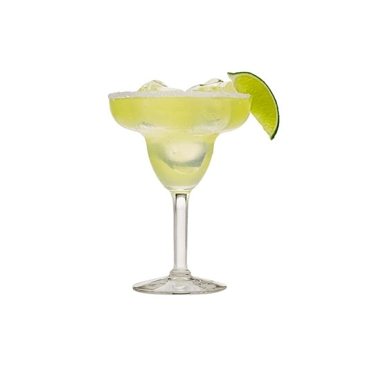 Lemon-X AGAVE MARGARITA cocktail mixer, 4 x 1 GA Case - GS1 prepared product image