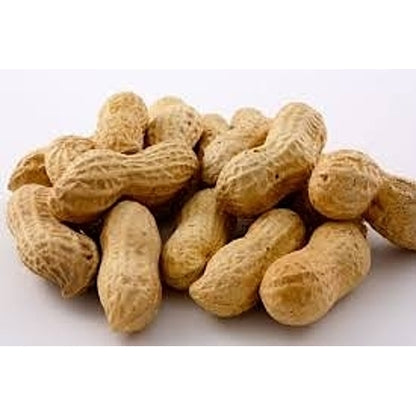 Gurley's Foods PEANUTS JUMBO SALTED IN SHELL, 12 x 6 oz Case - DOT product image 3