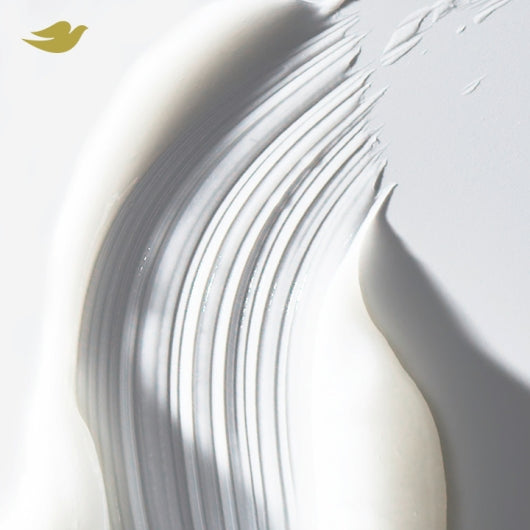 Dove Daily Moisture Therapy Conditioner, 6 x 12 fl oz Case - Unclassified DOT image