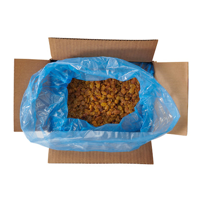 Fresh Gourmet Golden Seedless Raisins, 1 x 10 lb Case - DOT product image 4
