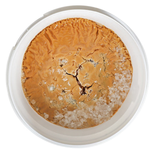 Bonewerks Culinarte Roasted Chicken Stock Reduction, 1 x 16 lb Case - GS1 open-case image