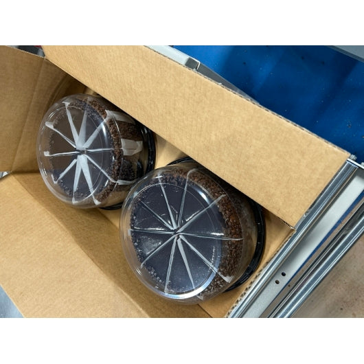 Mikes Pies BTYM Chocolate Cake, 2 Layers, 12 Slices per Cake, 2 x 10 IN Case - DOT product image 5