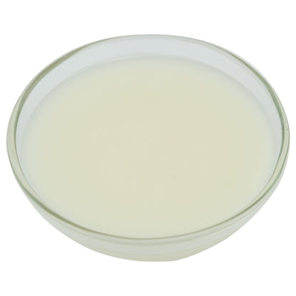 Chuckles Jelly Candy Glaze 'N Shine Food Glaze, 1 x 40 lb Case - DOT product image 7