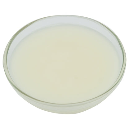 Brill Glaze N Shine, 1 x 23 lb Case - Bakery & Desserts