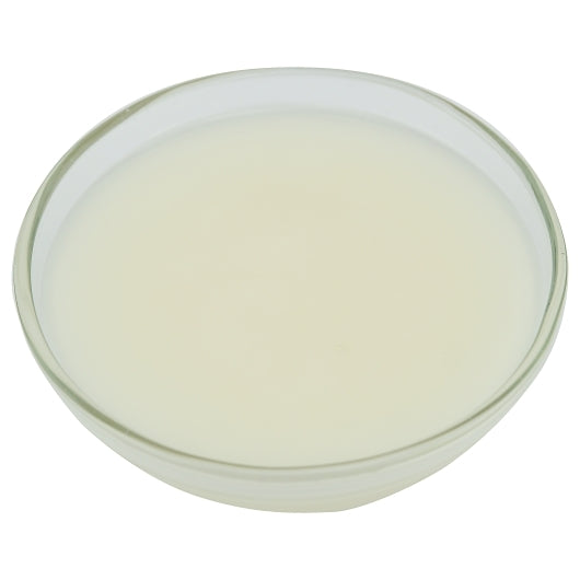 Brill Glaze N Shine, 1 x 23 lb Case - Bakery & Desserts