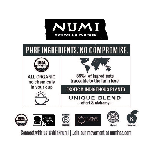 Numi Organic High MOUNTAIN BLACK ICED TEA, 24 x 1.2 oz Case - DOT product image 3