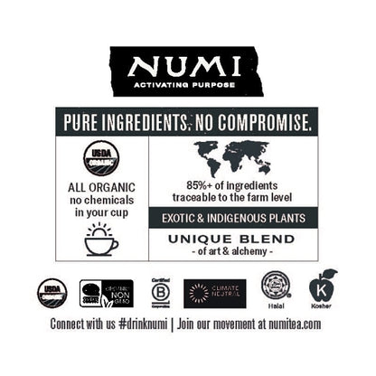 Numi Organic High MOUNTAIN BLACK ICED TEA, 24 x 1.2 oz Case - DOT product image 3