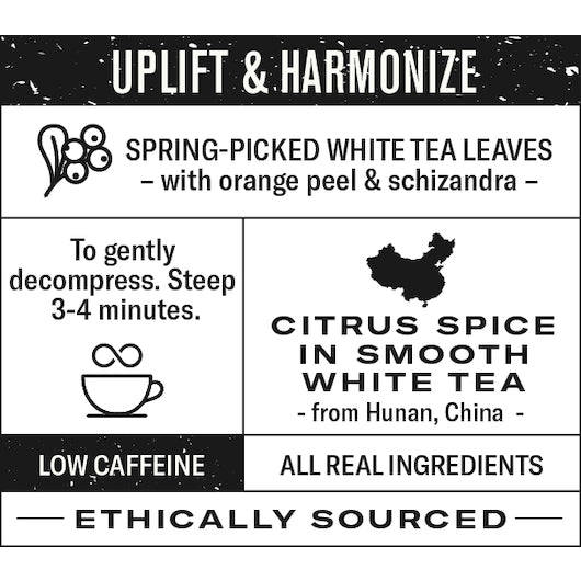 Numi ORANGE SPICE WHITE TEA, 6 x 16 ct Case - DOT product image 5