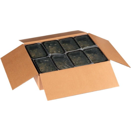 Taste Pleasers Gourmet Jalapeno Tray Packs, 8 x 1.56 lb Case - DOT product image 5