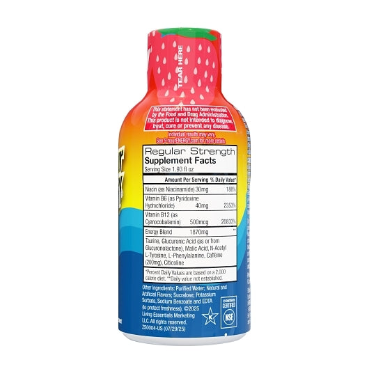 5-Hour Energy Shot Regular Strength Berry, 216 x 1.93 fl oz Case - DOT product image 2