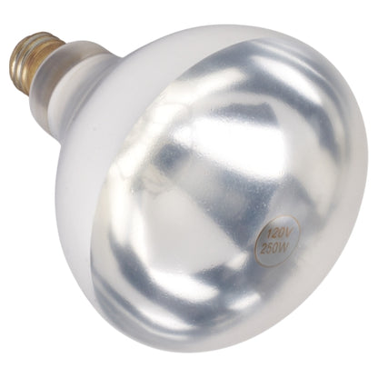 Winco Two White 250 Watt For EHL Bulb, 1 x 1 each Case - Kitchen Equipment