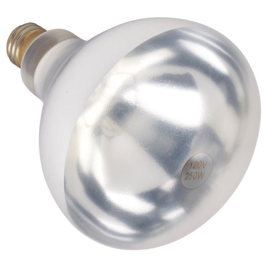 Winco Two White 250 Watt For EHL Bulb, 1 x 1 each Case - Kitchen Equipment