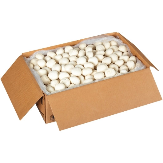 Conestoga FLOUR TORTILLA DOUGH, 384 x 1.5 oz Case - DOT product image 4