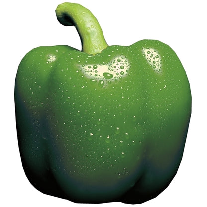 Moody Dunbar Diced PEPPERS DICED GREEN, 24 x 15 oz Case - DOT product image 4