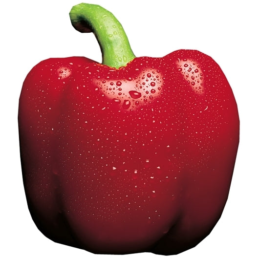 Moody Dunbar Diced Red Peppers, 24 x 15 oz Case - DOT product image 7