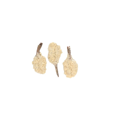 Tampa Maid Clean-Tail Breaded Butterfly Shrimp 31-35 Ct, 24 x 6 oz Case - GS1 product shown out of package