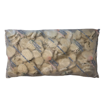 Tampa Maid Seafood ORIENTAL Breaded Pickle Chips, 4 x 2.5 lb Case - Frozen Meat & Seafood