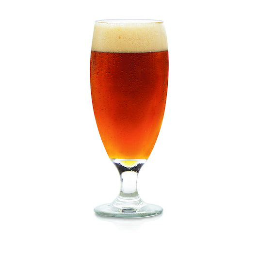 Libbey Embassy Pilsner Glass 16 Oz, 1 x 24 each Case - DOT product image 3