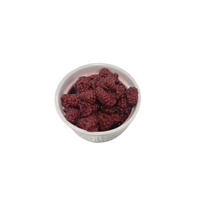 Oregon Fruit Blackberries Blackberry, 8 x 15 oz Case - Dried Fruit & Fruit Snacks