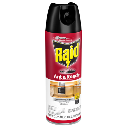 Raid ANT&ROACH AEROSOL FRAGRANCE FREE, 12 x 17.5 oz Case - DOT product image 6