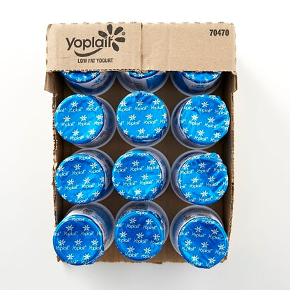 Yoplait Blueberry Light Yogurt Cup, 12 x 6 oz Case - GS1 open-case image