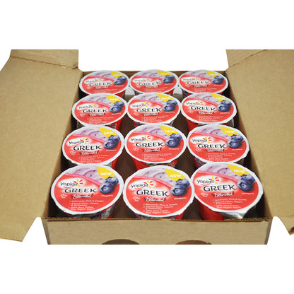 Yoplait Fat Free, Greek Blended Blueberry Yogurt, 12 x 5.3 oz Case - GS1 open-case image