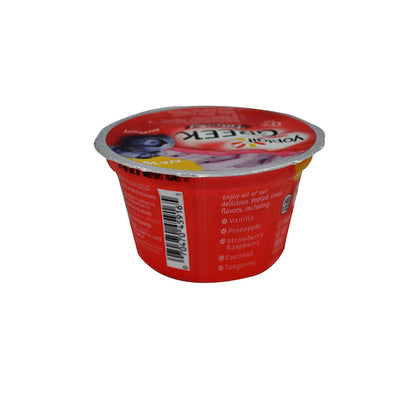Yoplait Fat Free, Greek Blended Blueberry Yogurt, 12 x 5.3 oz Case - GS1 inner-pack image