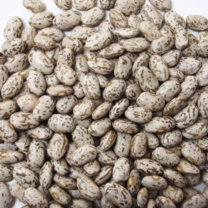 Jack Rabbit Pinto Beans, 24 x 1 lb Case - DOT product image 2
