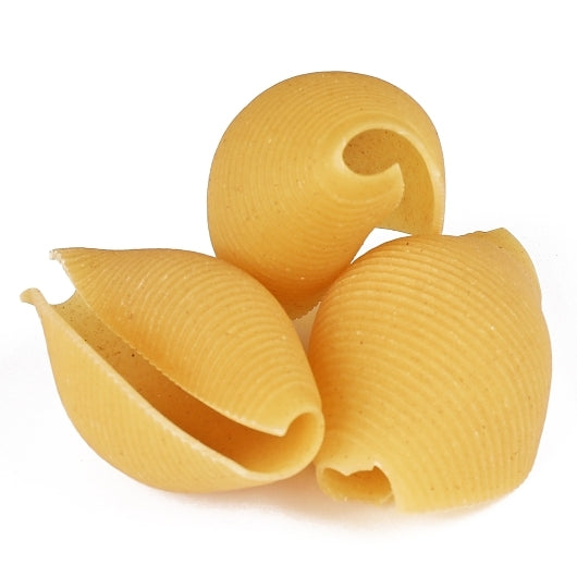Columbia Jumbo Shell Pasta Case, 9 x 16 oz Case - Pantry Ingredients - image 2