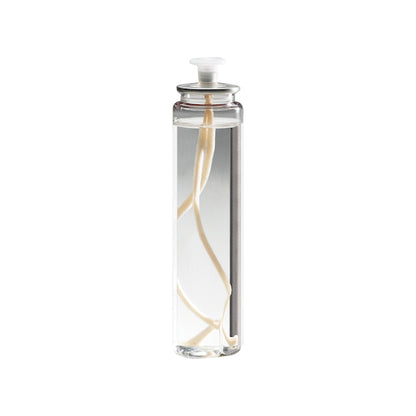 Sterno 29 Hour Soft Light Liquid Wax Candle, 36 x 3.05 fl oz Case - Chafing Fuel & Catering Supplies