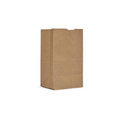 AJM 20# Kraft Squat Bag, 1 x 500 ct Case - Disposables