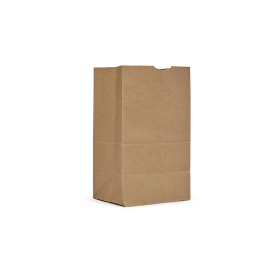 AJM 20# Kraft Squat Bag, 1 x 500 ct Case - Disposables