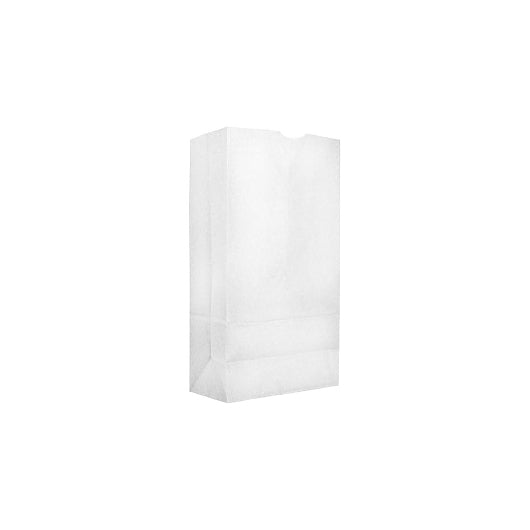 AJM 2# Bleached Bag, 1 x 500 ct Case - DOT product image 4