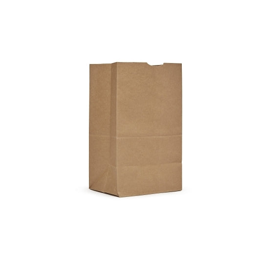 AJM 25# Kraft Squat Bag, 1 x 500 ct Case - Disposables