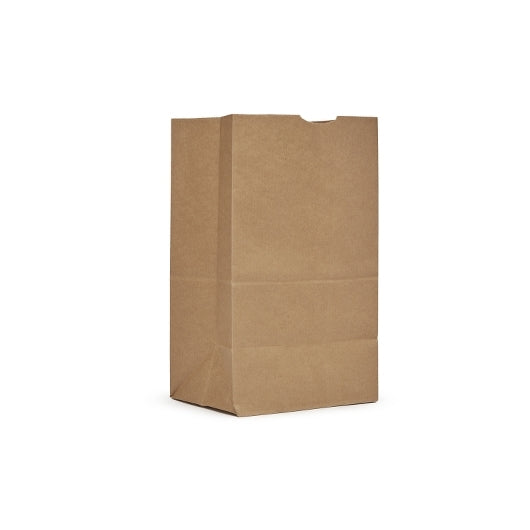 AJM 25# Kraft Squat Bag, 1 x 500 ct Case - DOT product image 4