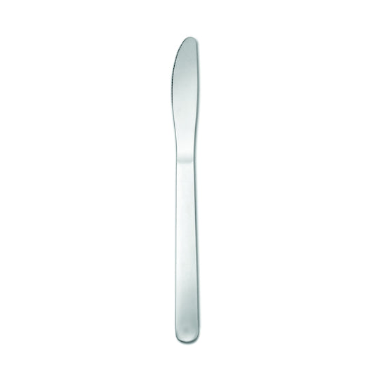 Oneida Windsor III Dinner Knife, 1 x 36 each Case - Flatware