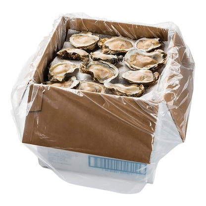 Hillman Individually Quick Frozen Half Shell Oysters 144 Ct, 1 x 30 lb Case - Frozen Meat & Seafood