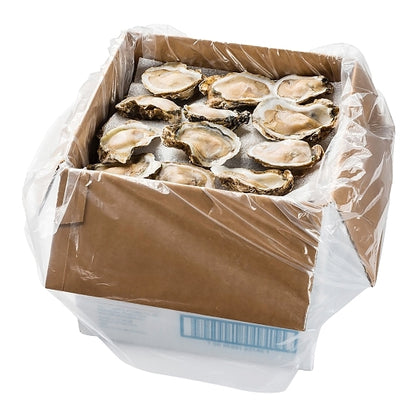 Hillman Individually Quick Frozen Half Shell Oysters 144 Ct, 1 x 30 lb Case - DOT product image 5