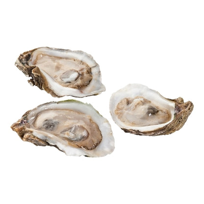 Hillman Individually Quick Frozen Half Shell Oysters 144 Ct, 1 x 30 lb Case - DOT product image 2