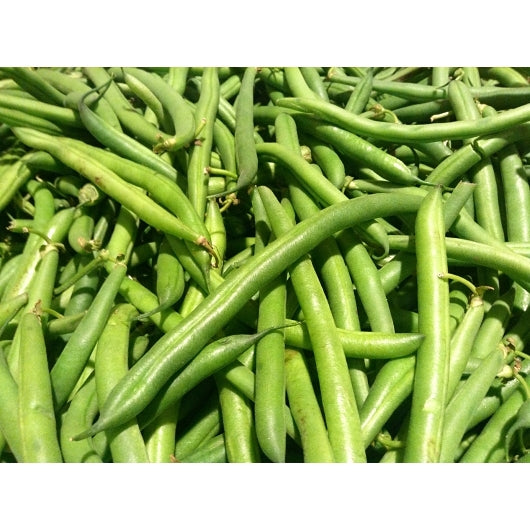 Commodity Canned Fruit Extra Standard Green Beans, 6 x 10 CN Case - Fruit & Sides